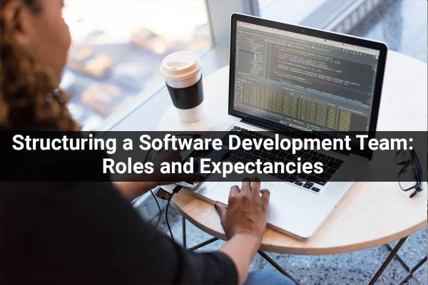 Structuring A Software Development Team Roles And Expectations